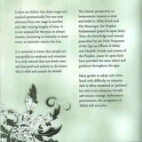 A Gift for the Bereaved Parent - Darussalam