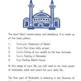 A Muslim Boys Guide to Life's Big Changes - Darussalam