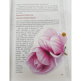 Golden Seerah: For the Young Generation - Darussalam