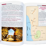 Golden Stories of Ali Bin Abi Talib - Darussalam