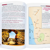 Golden Stories of Ali Bin Abi Talib - Darussalam