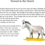 Goodnight Stories from the Life of the Prophet Muhammad - Darussalam