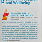 Health And Wellbeing For Muslim - Darussalam