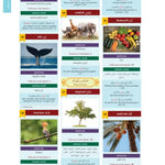 The Clear Quran : Series Dictionary - Darussalam