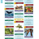 The Clear Quran : Series Dictionary - Darussalam