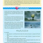 The Clear Quran Tafsir for Kids Surahs ( 29_48 ) with Arabic Text - Darussalam
