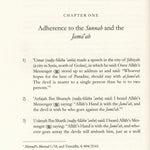 The devil deceptions - Darussalam
