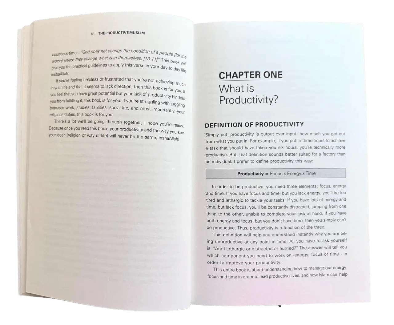 The Productive Muslim Book - Darussalam
