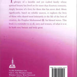 The Wives of the Prophet Muhammad صلی الله علیه وآله وسلم ( Taha ) - Darussalam