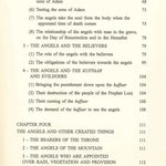 The World of the Noble Angels : Islamic Creed Series 2 - Darussalam